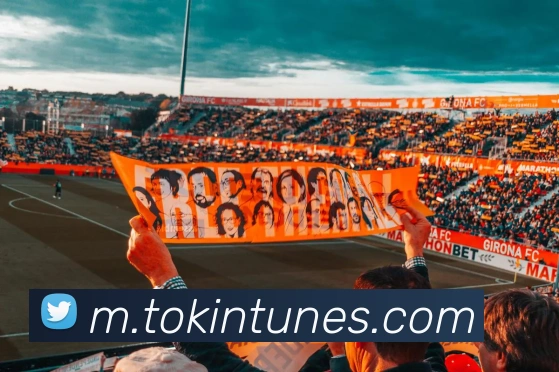 MK官方网站平台生态图